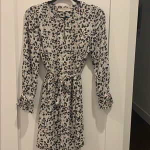 Loft Women’s Shift Dress in Leopard Print